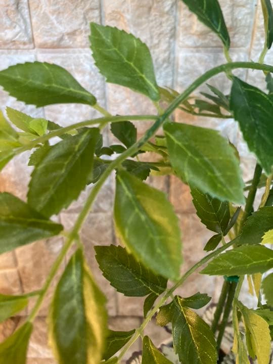 光触媒　人工観葉植物　造花　ウォールグリーン　ゴールデンリーフ54