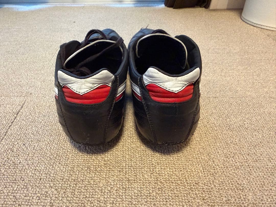 モレリア2JAPANクロスステッチ