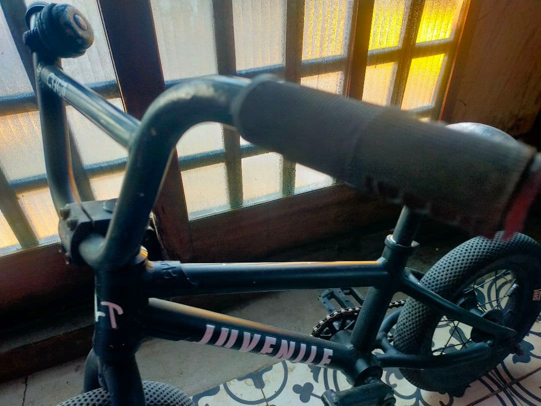 cult Juvenile 12インチ　BMX！
