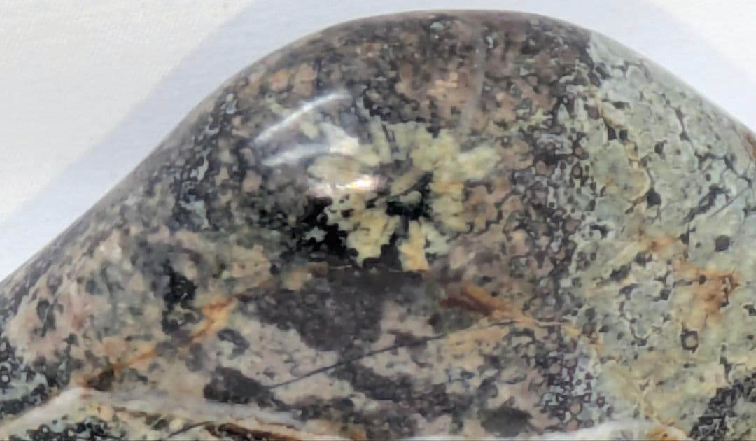 孔雀菊花石　山の形　根尾 鑑賞石 水石 自然石　紫檀台座