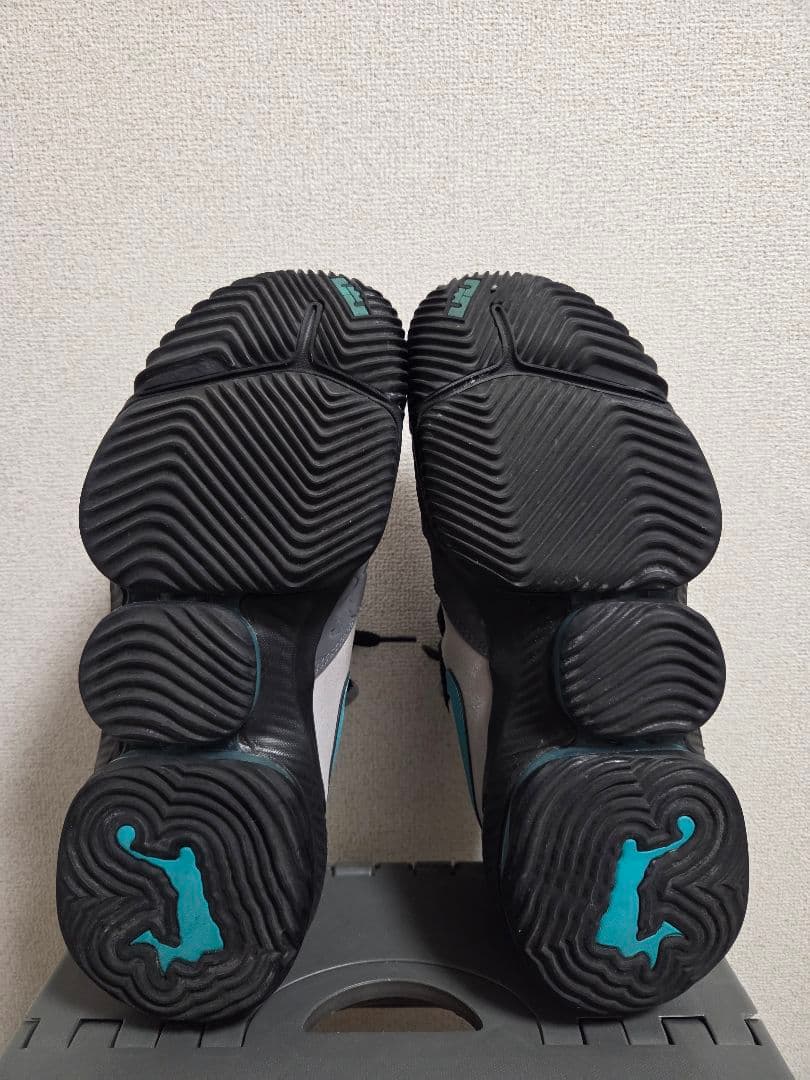 【27.0cm】NIKE LEBRON 16 LOW \"ATMOS\"