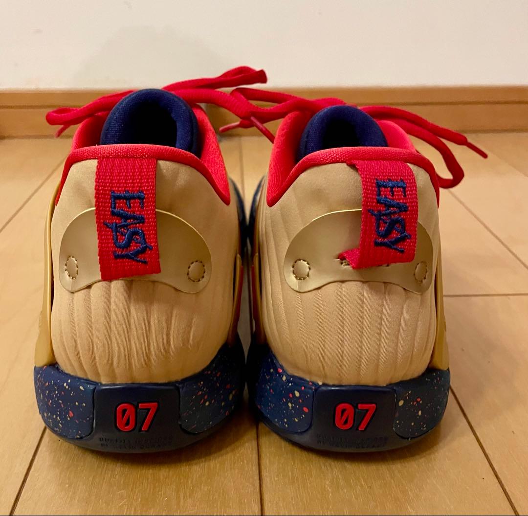 NIKE、KD15 EP、30センチ