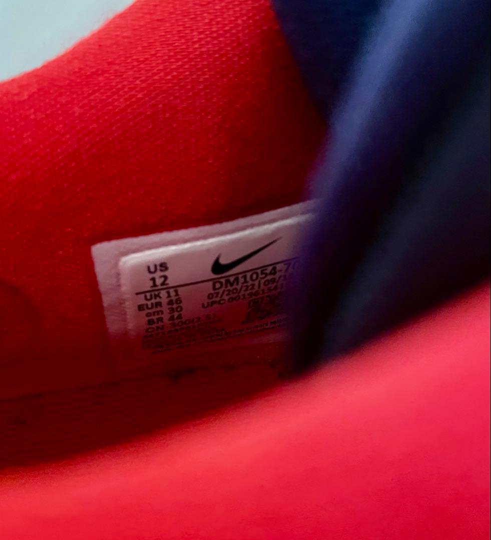 NIKE、KD15 EP、30センチ