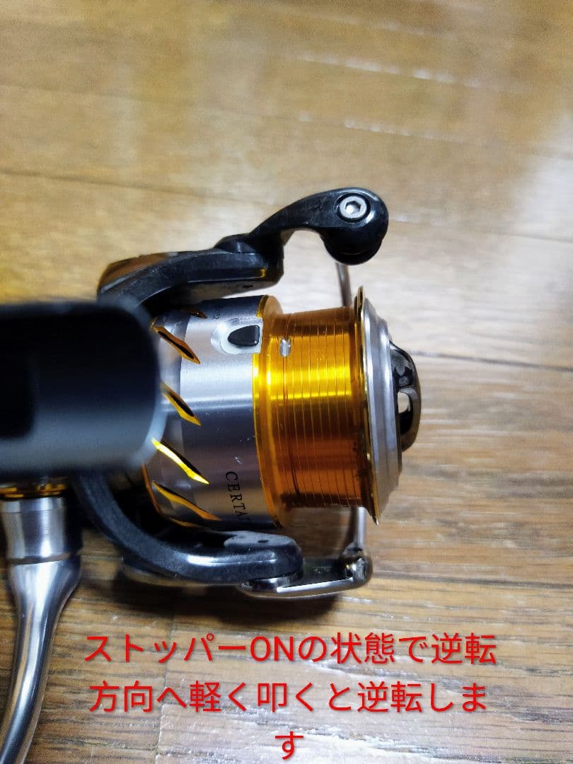 ダイワ13セルテート2508PE