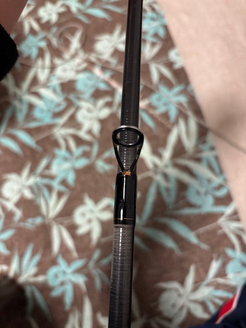 Daiwa Lateo 100M シーバスロッド