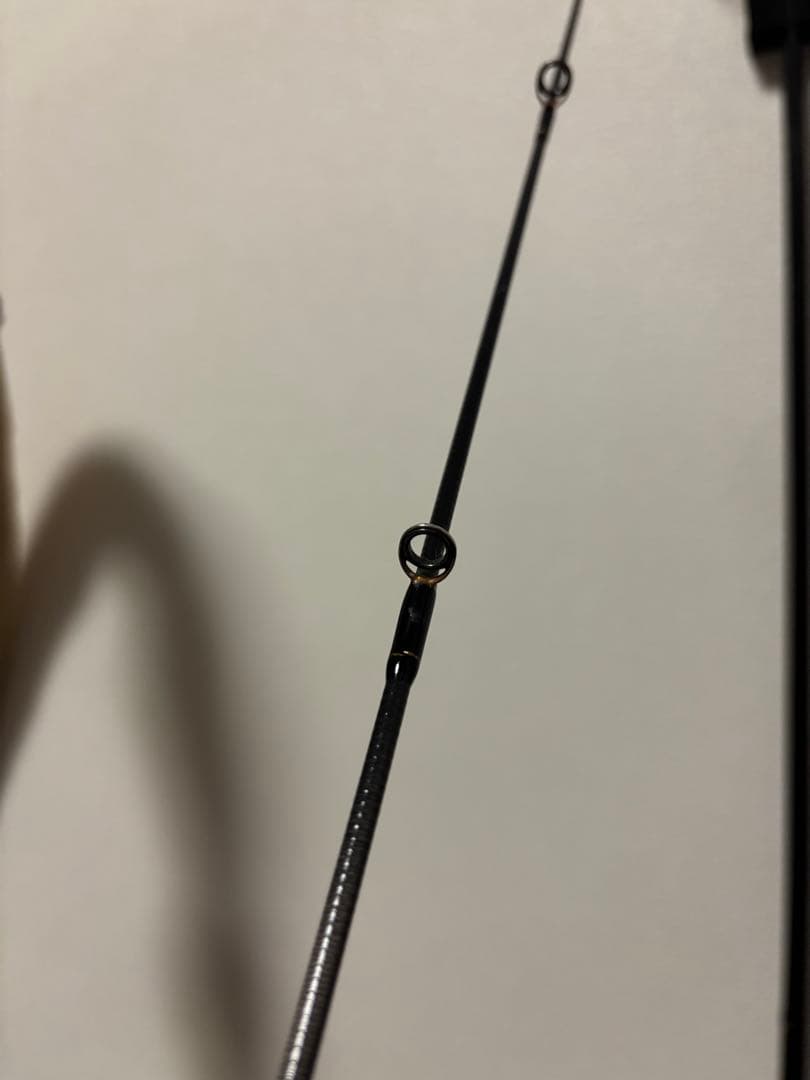 Daiwa Lateo 100M シーバスロッド