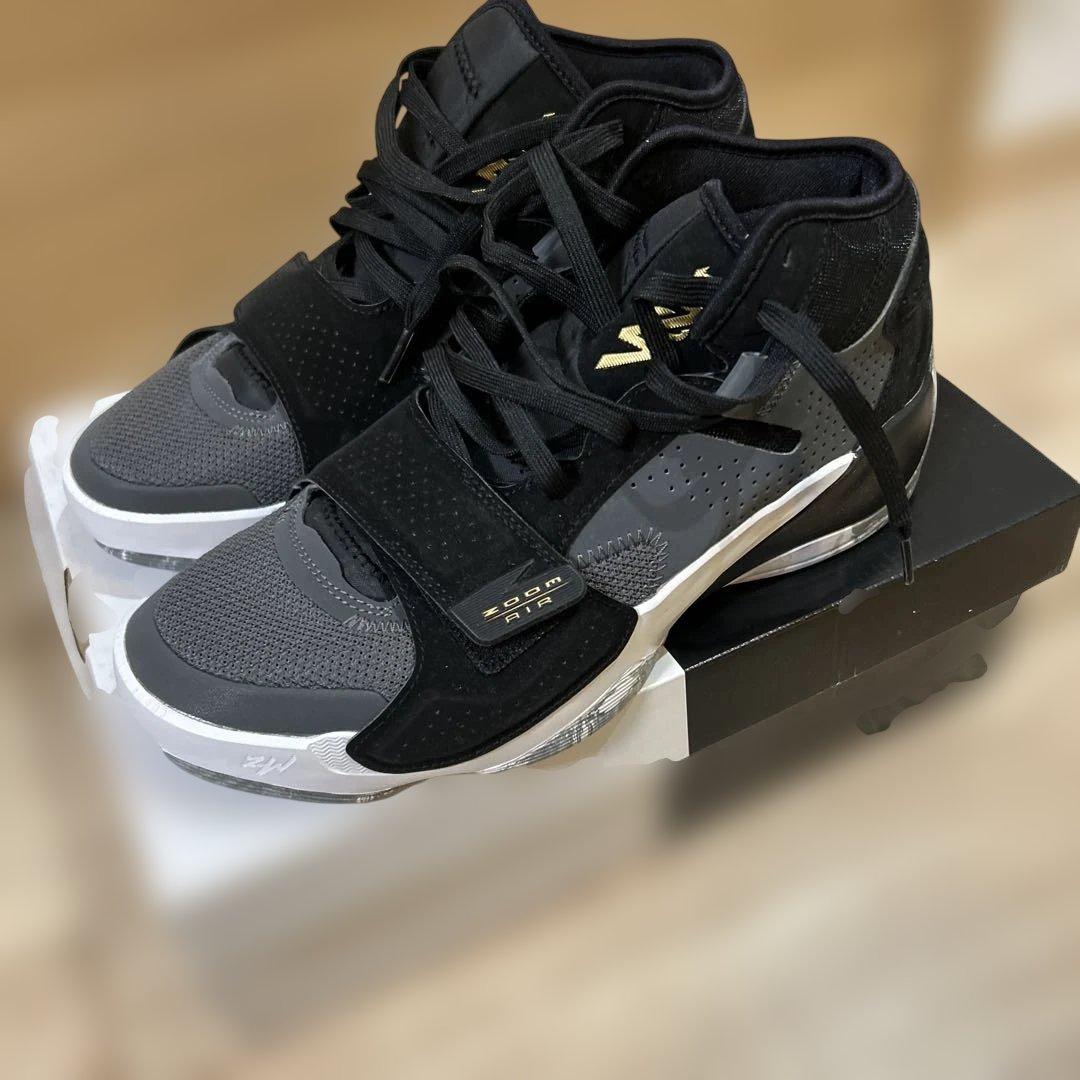 Jordan バスケットボールシューズ グレー/ブラック　ザイオン2