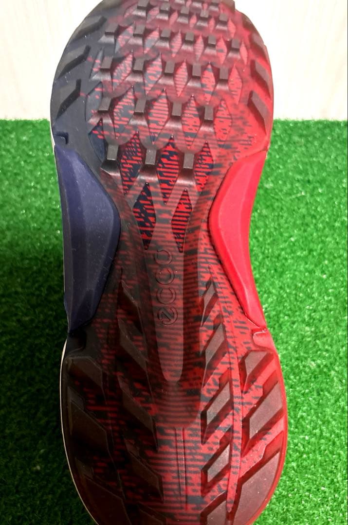 【新品.未使用】 ecco BIOM BOA 防水 本革 24.5cm