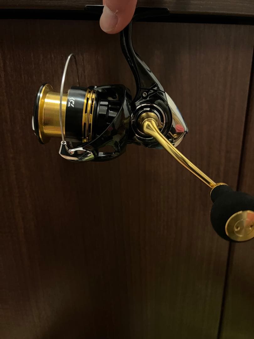 DAIWA レガリスLT4000-CXH