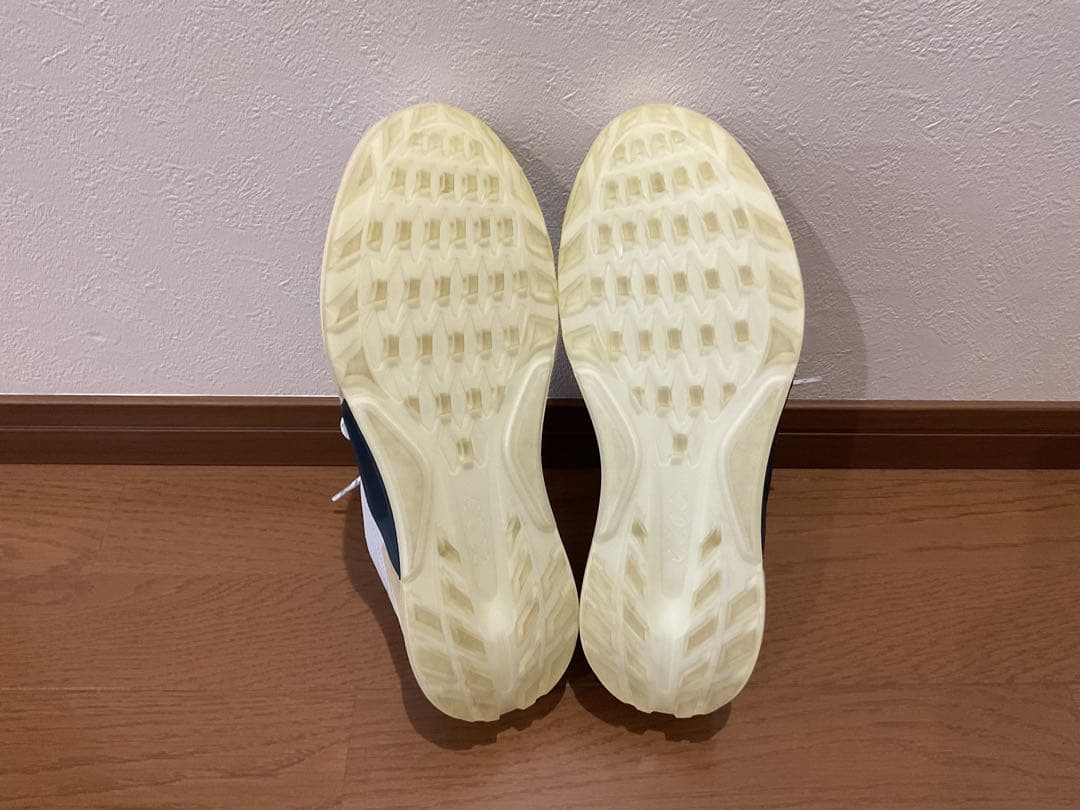 ECCO BIOM C4 ゴルフシューズ EU42