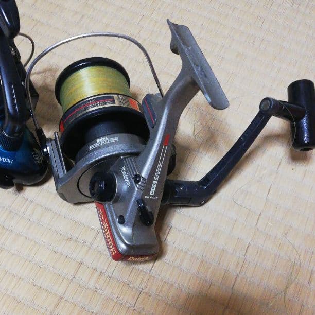 リ−ル