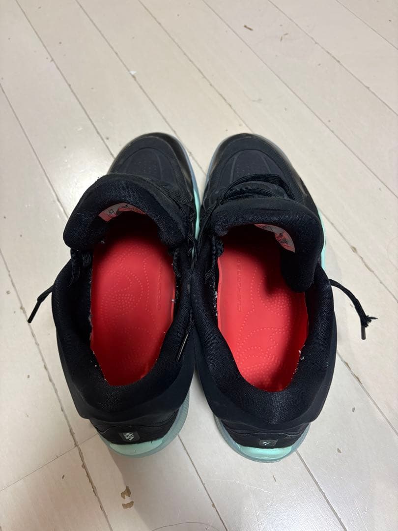 【早い者勝ち！！！！！！】NIKE JORDAN ZION4 PF 27.5cm