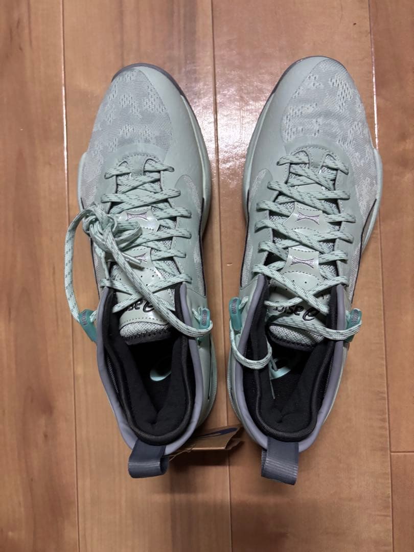値引き！新品asics NOVA BURGE LOW 2 29.0cm