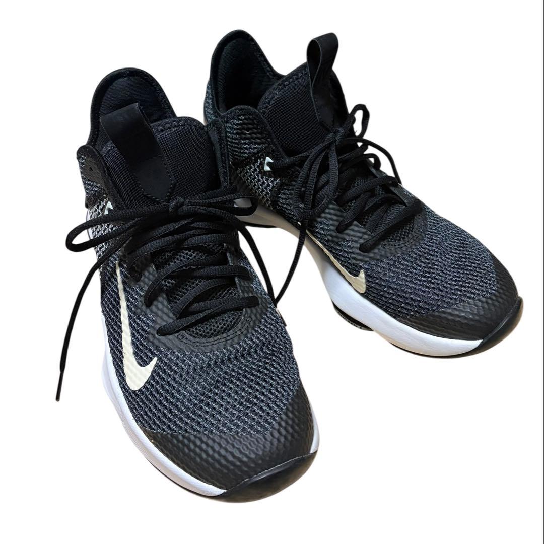 NIKE LeBron James バスケットシューズ 26.5cm