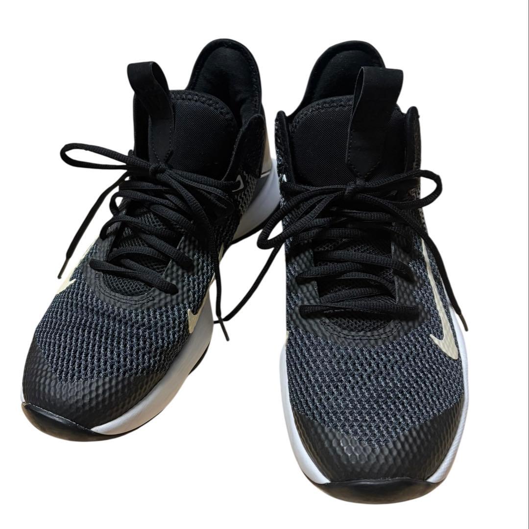 NIKE LeBron James バスケットシューズ 26.5cm
