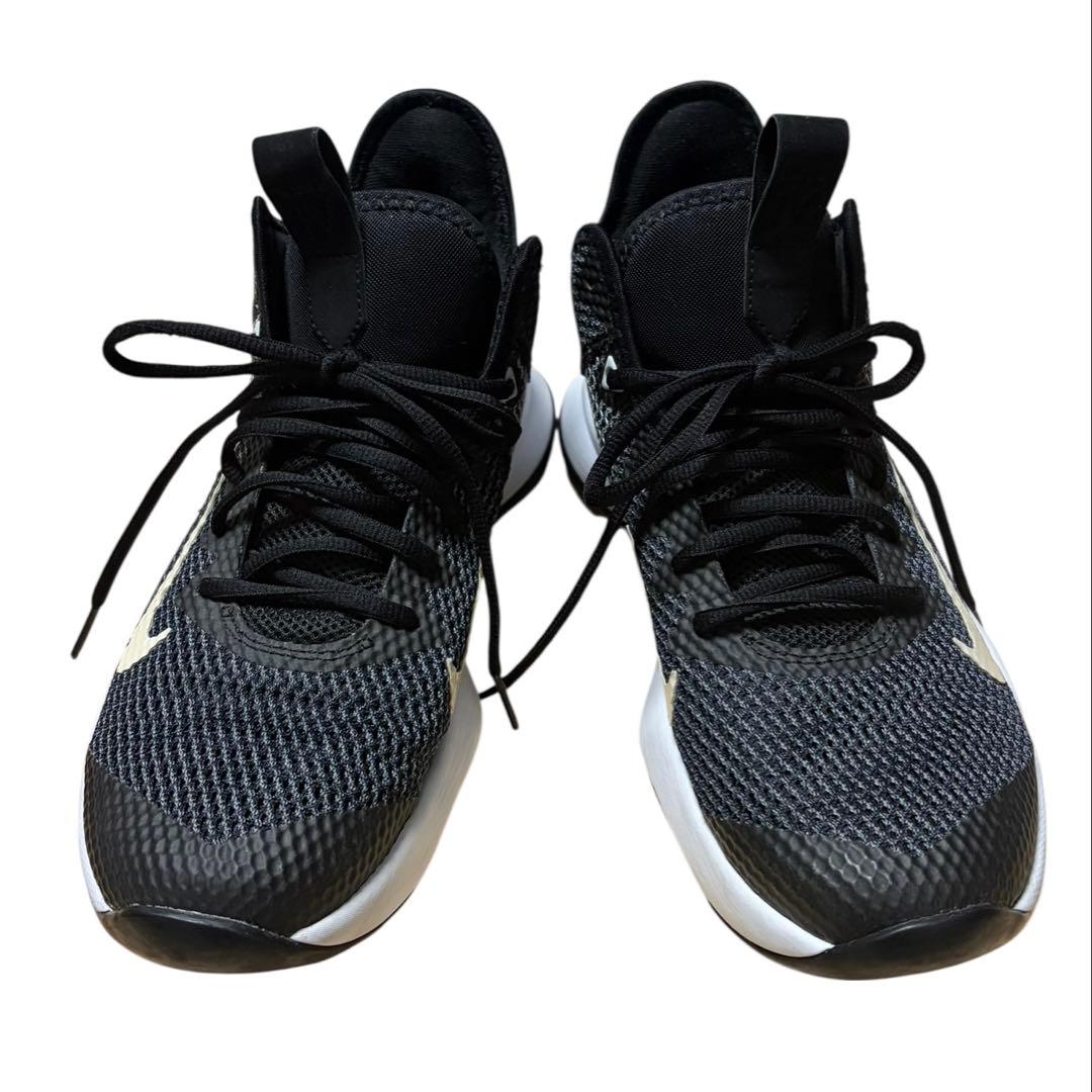 NIKE LeBron James バスケットシューズ 26.5cm