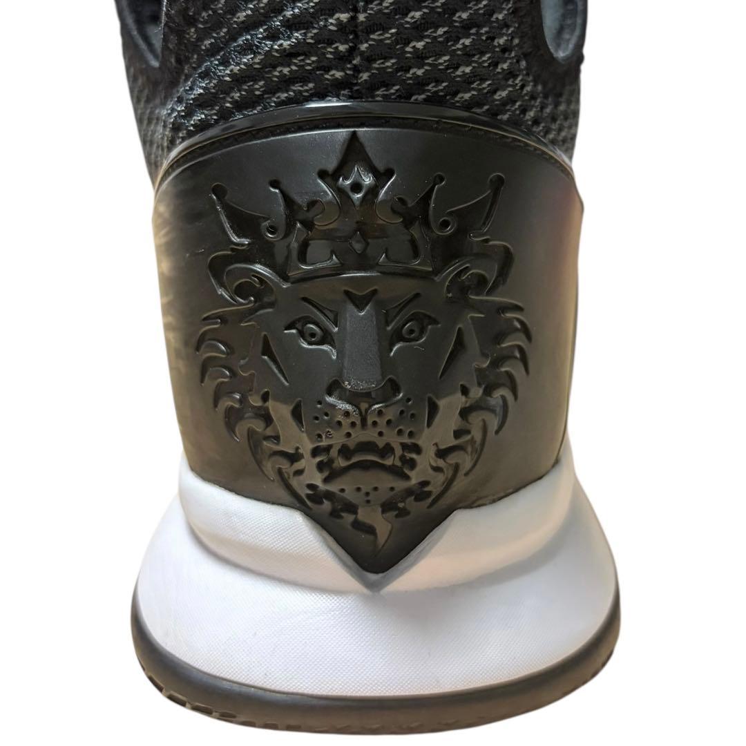 NIKE LeBron James バスケットシューズ 26.5cm