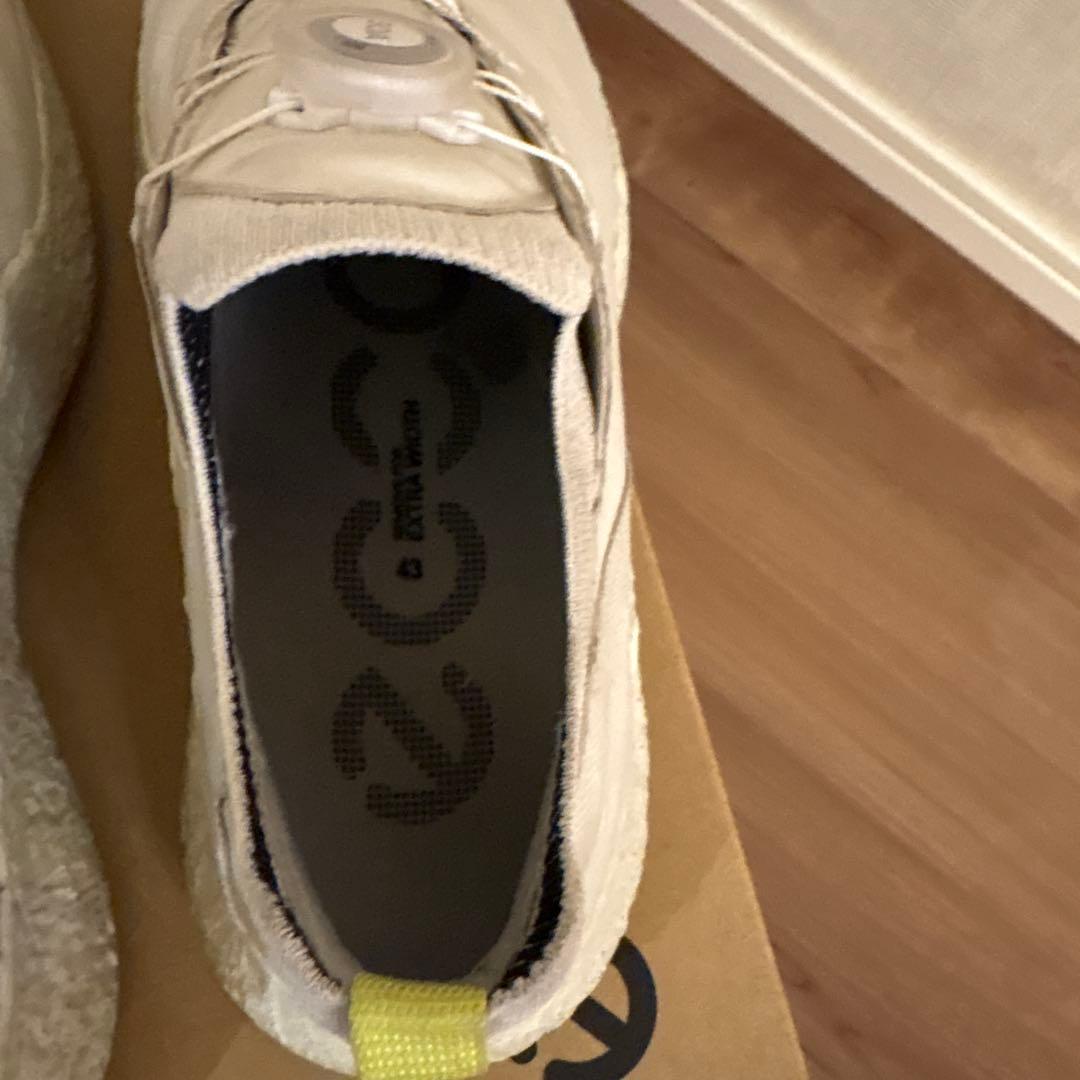 ECCO M GOLF BIOM H5 ホワイト 43