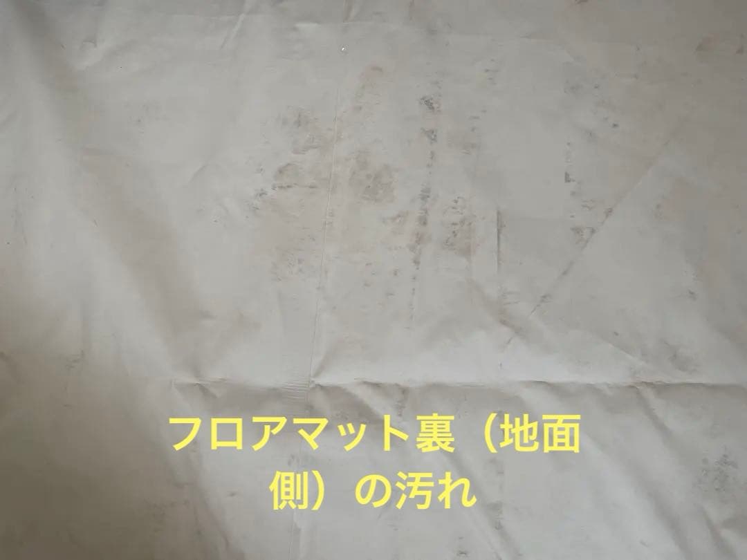 【値下げ中】ノルディスクアルフェイム19.6フロアマットセット
