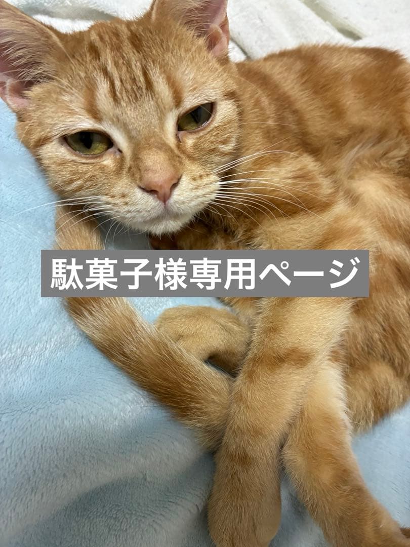 駄菓子ページ