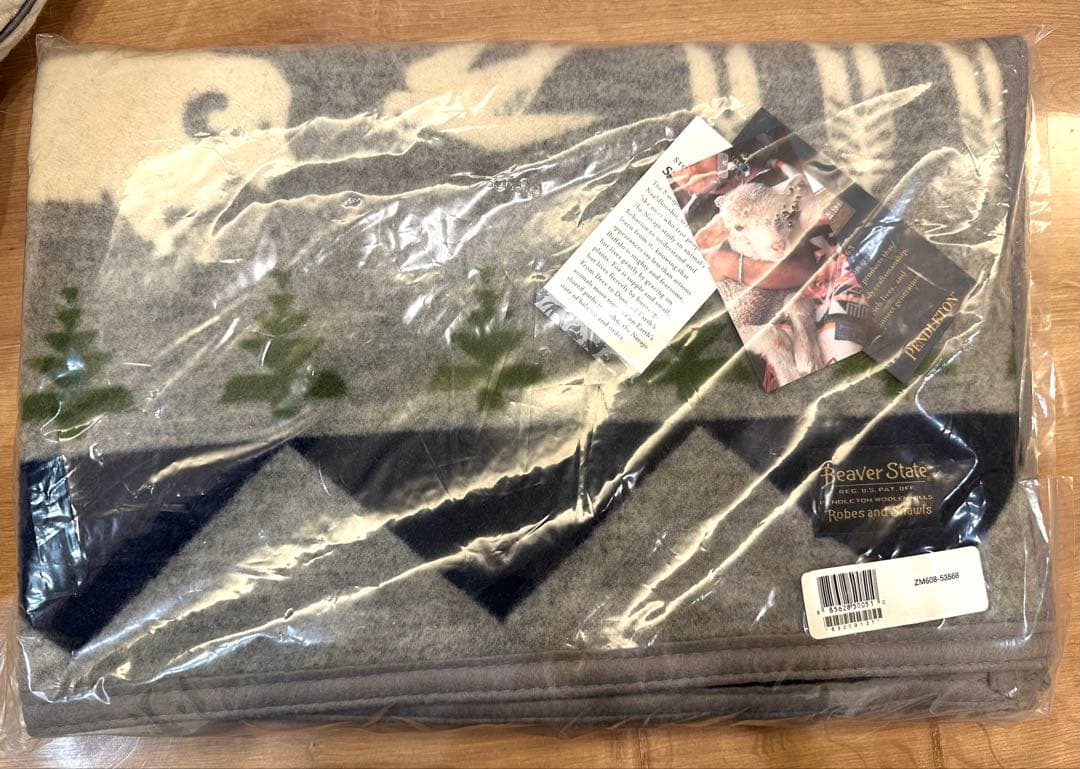 新品/ペンダルトン Muchacho Shared Paths ブランケット
