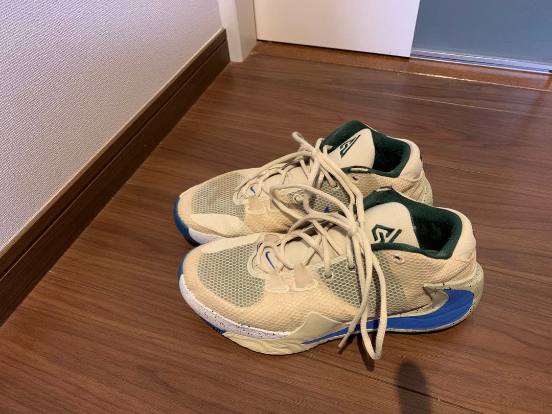 NIKE ズームフリーク1 27cm