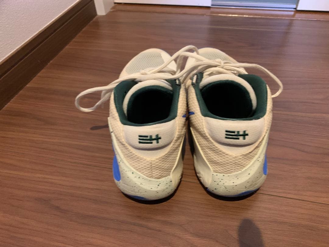 NIKE ズームフリーク1 27cm