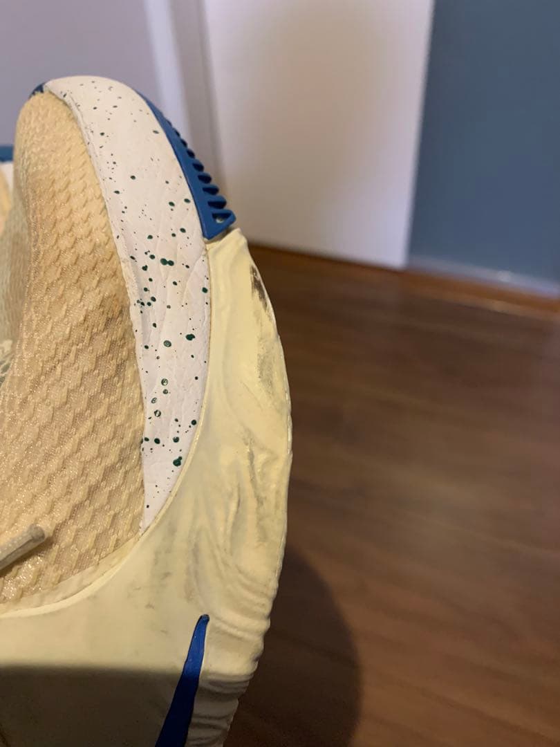NIKE ズームフリーク1 27cm