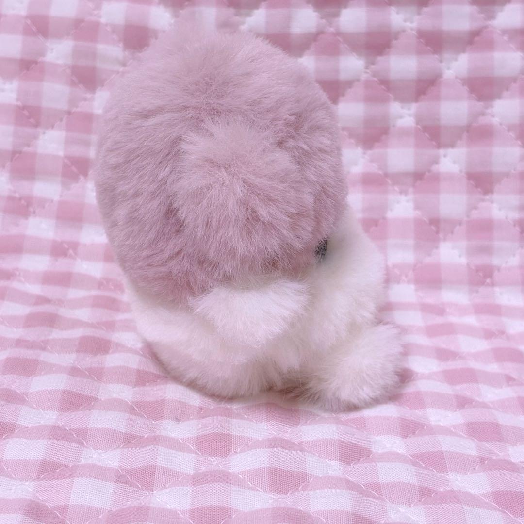 ひびの→ぬい写真家_（：3」4）_ ページ