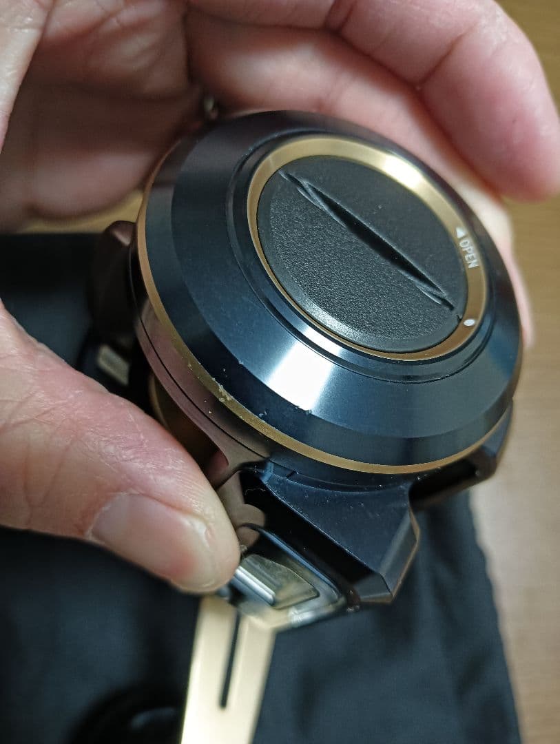 ダイワ　SALTIGA IC 100 中古