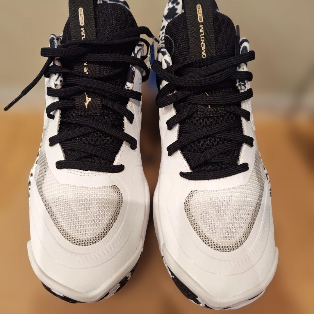 Mizuno バレーボールシューズ 新品　25.5