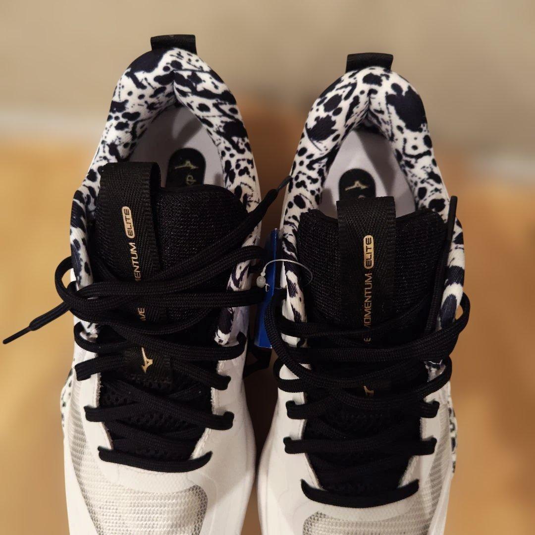 Mizuno バレーボールシューズ 新品　25.5