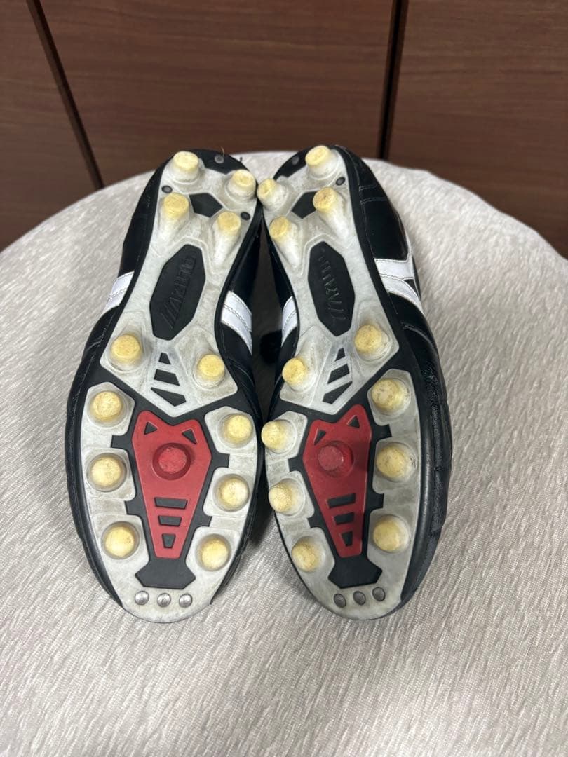 モレリア2JAPANクロスステッチ26cm
