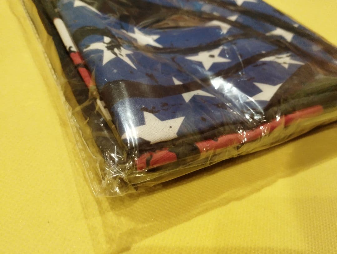 新品未開封 INTUIT DOME限定 FLAG フラッグ BABYL
