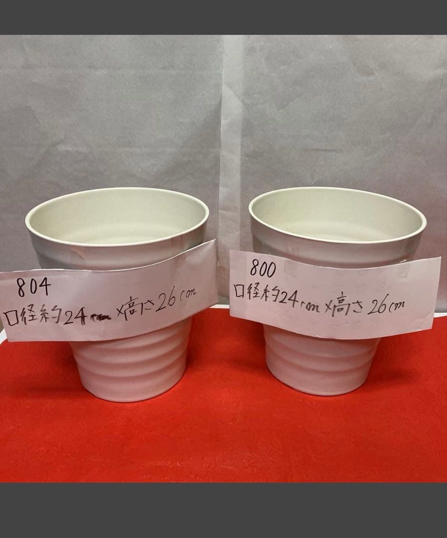 796805 胡蝶蘭が入っていた　植木鉢　プラスチック製　軽い　10個