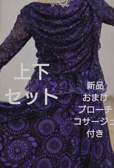 社交ダンス練習着レッスン着パーティ。素敵な柄上下セットドレスおまけ2つ付き
