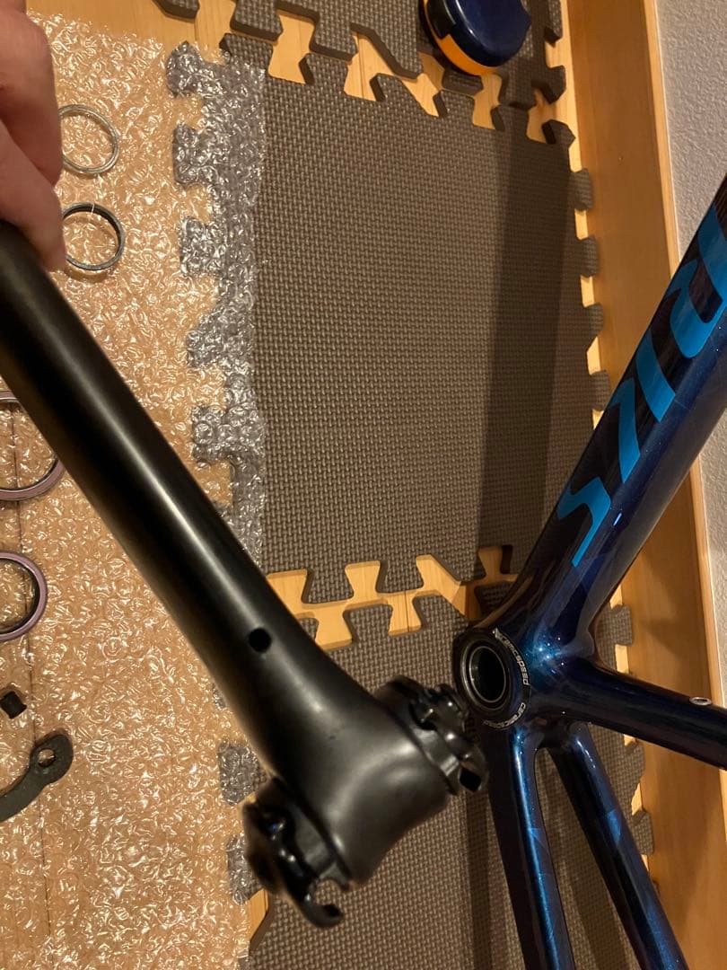 フレーム s-works tarmac SL6 54 リム　カメレオンカラー