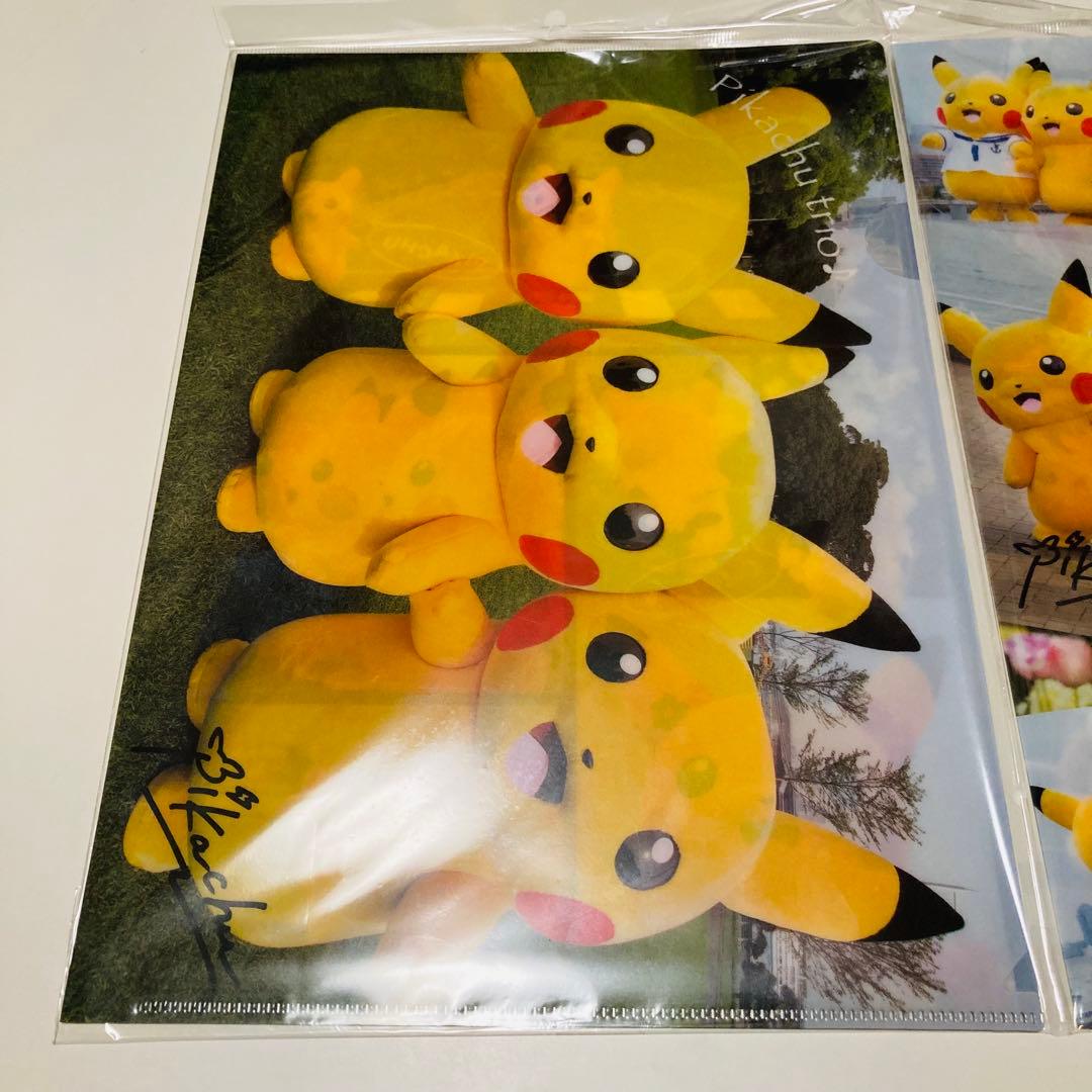 未開封✳️ポケモン『A4クリアファイル4枚』シロナ／カトレア／ポケモンセンター限定