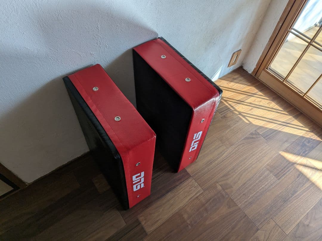 【限定・完売品】DNS × リーディングエッジ ドロップマット 2枚セット 赤