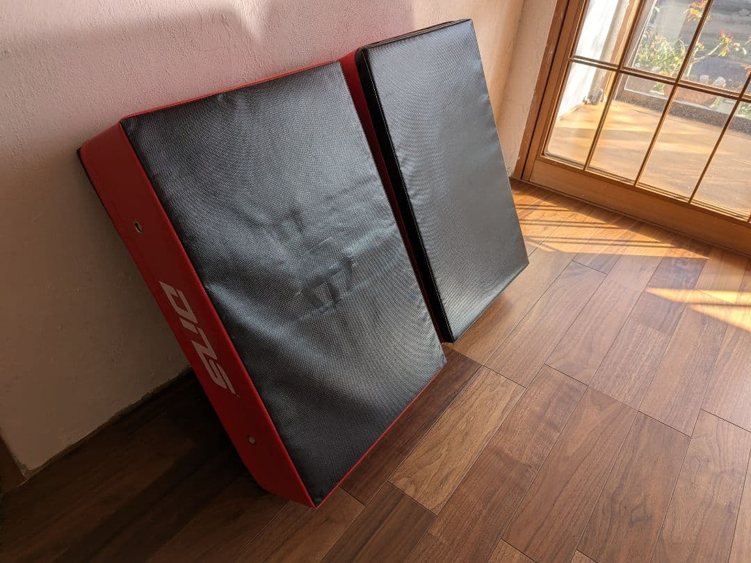 【限定・完売品】DNS × リーディングエッジ ドロップマット 2枚セット 赤