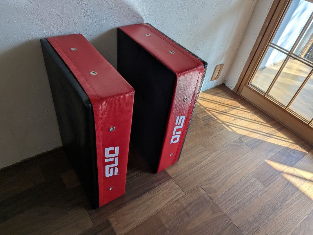 【限定・完売品】DNS × リーディングエッジ ドロップマット 2枚セット 赤