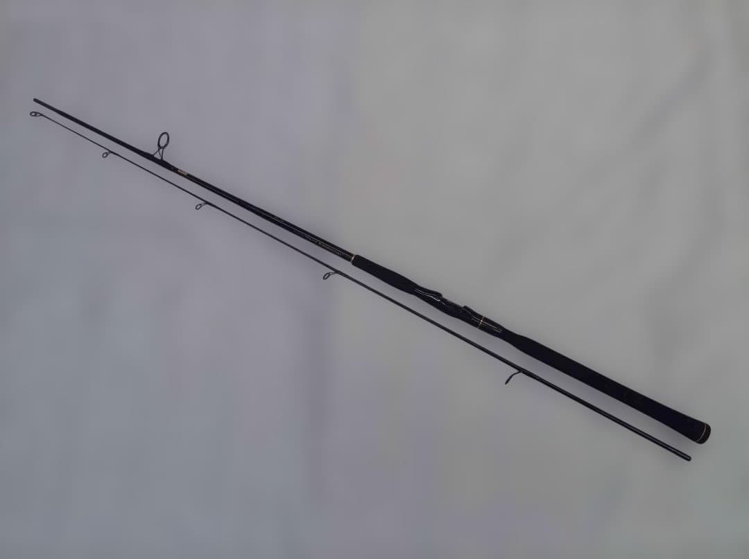 TEAM DAIWA-S Salt Water S963MLFS-M シーバスロ