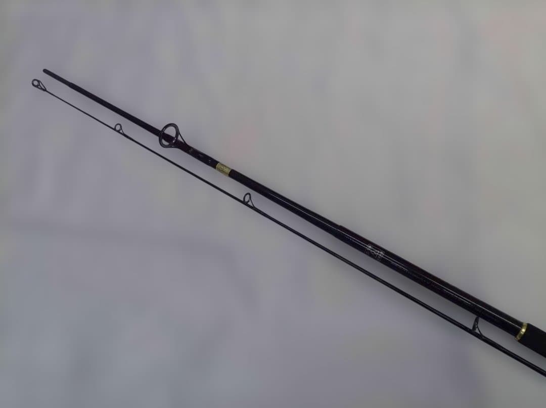 TEAM DAIWA-S Salt Water S963MLFS-M シーバスロ