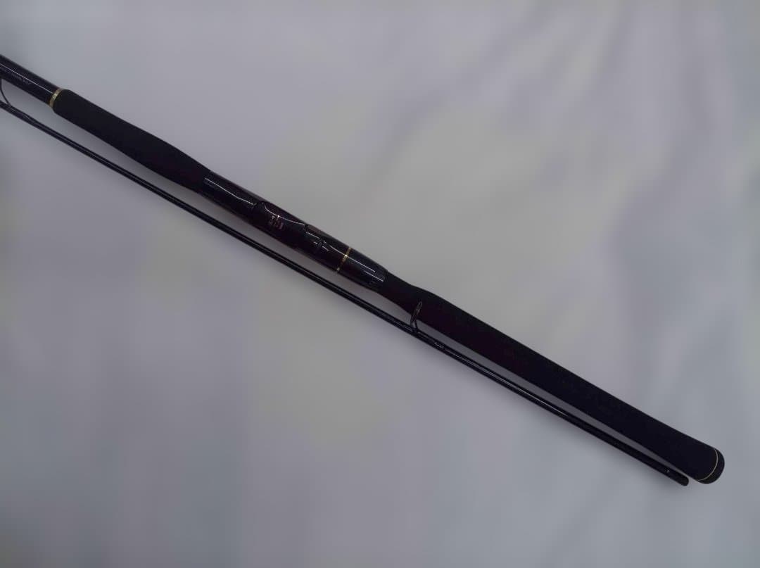 TEAM DAIWA-S Salt Water S963MLFS-M シーバスロ