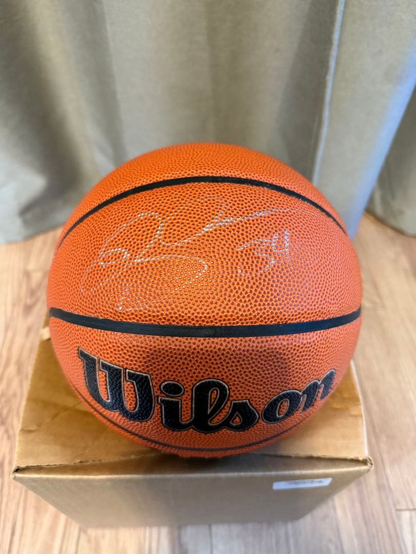 Wilson NBA バスケットボール 直筆サイン入り　 Ray Allen