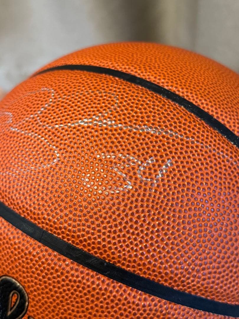 Wilson NBA バスケットボール 直筆サイン入り　 Ray Allen