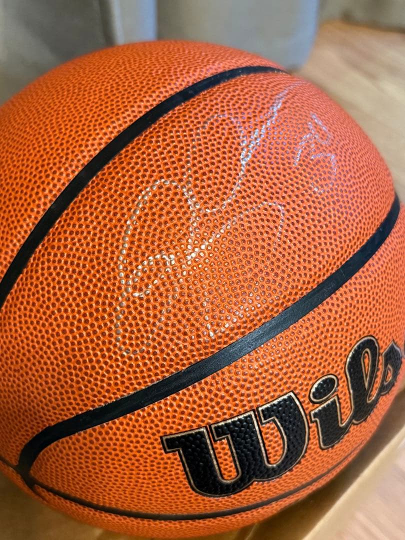 Wilson NBA バスケットボール 直筆サイン入り　 Ray Allen