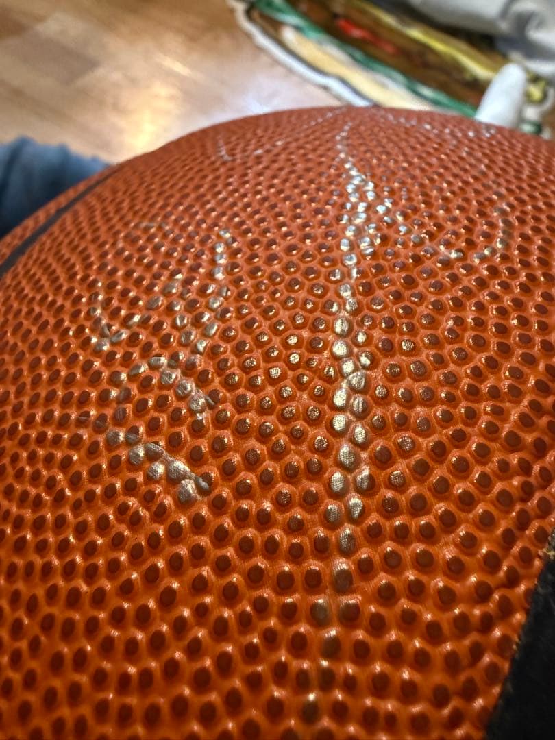 Wilson NBA バスケットボール 直筆サイン入り　 Ray Allen