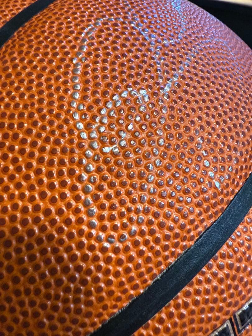 Wilson NBA バスケットボール 直筆サイン入り　 Ray Allen