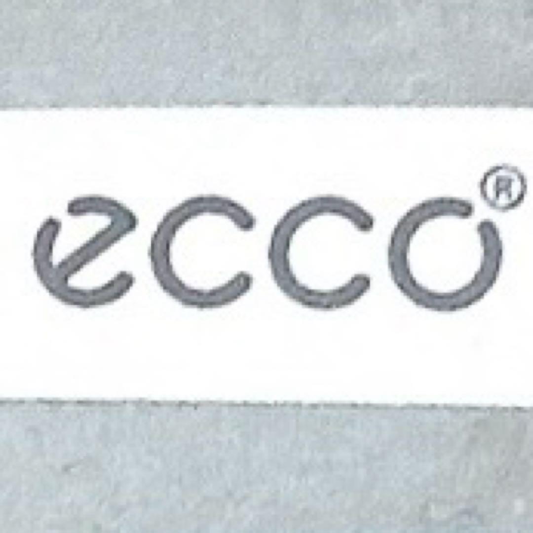 ECCO BIOM C4 ゴアテックス ゴルフシューズ ホワイト 26cm